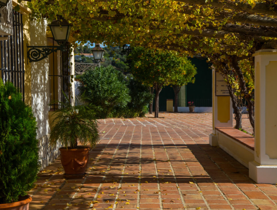 巴拿马圣玛丽亚酒店及高尔夫度假村之旅5