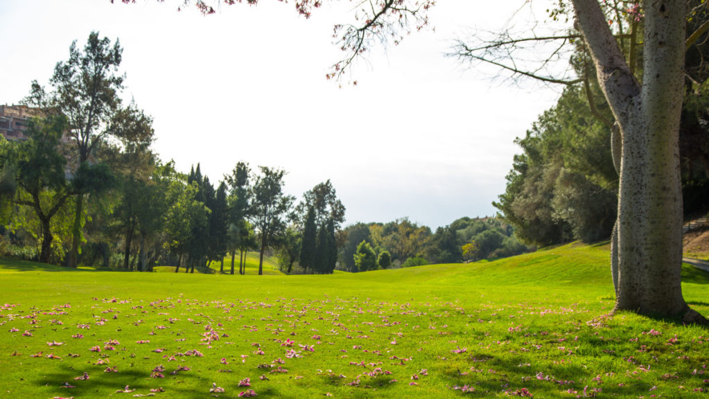 巴拿馬聖瑪麗亞酒店及高爾夫度假村之旅