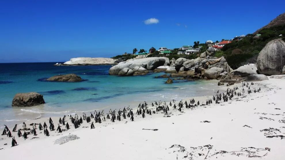 南非十佳高球場揮杆之旅