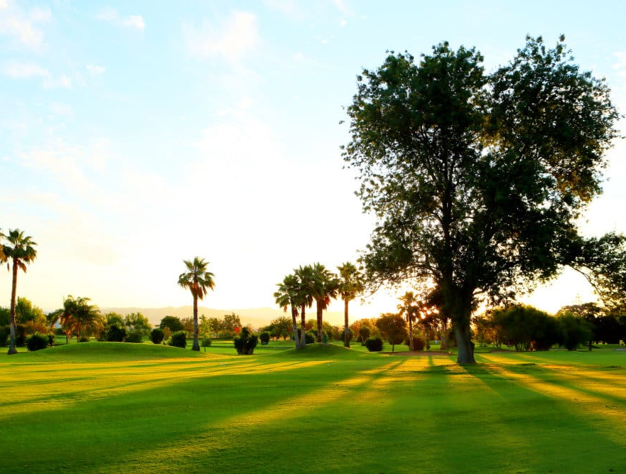 Tee Times高尔夫邮轮之旅3