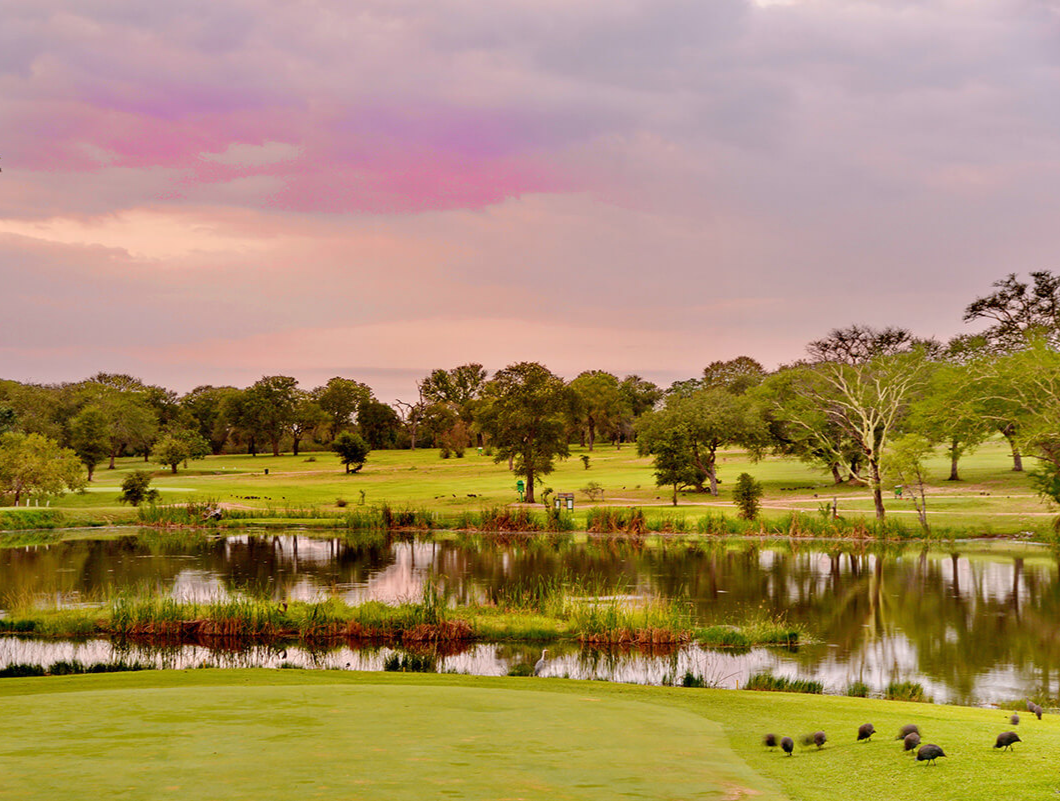 克鲁格国家公园高尔夫与丛林探险之旅2