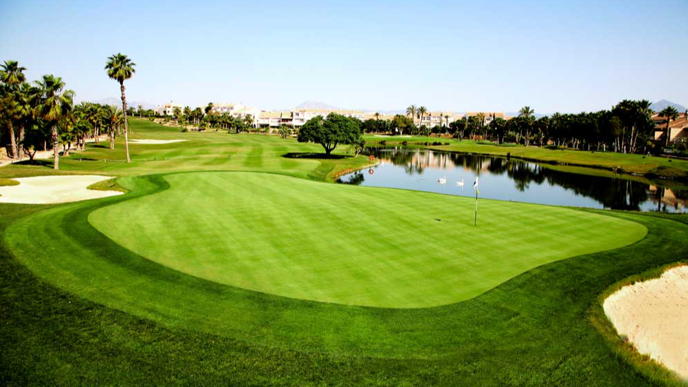 Tee Times高尔夫邮轮之旅