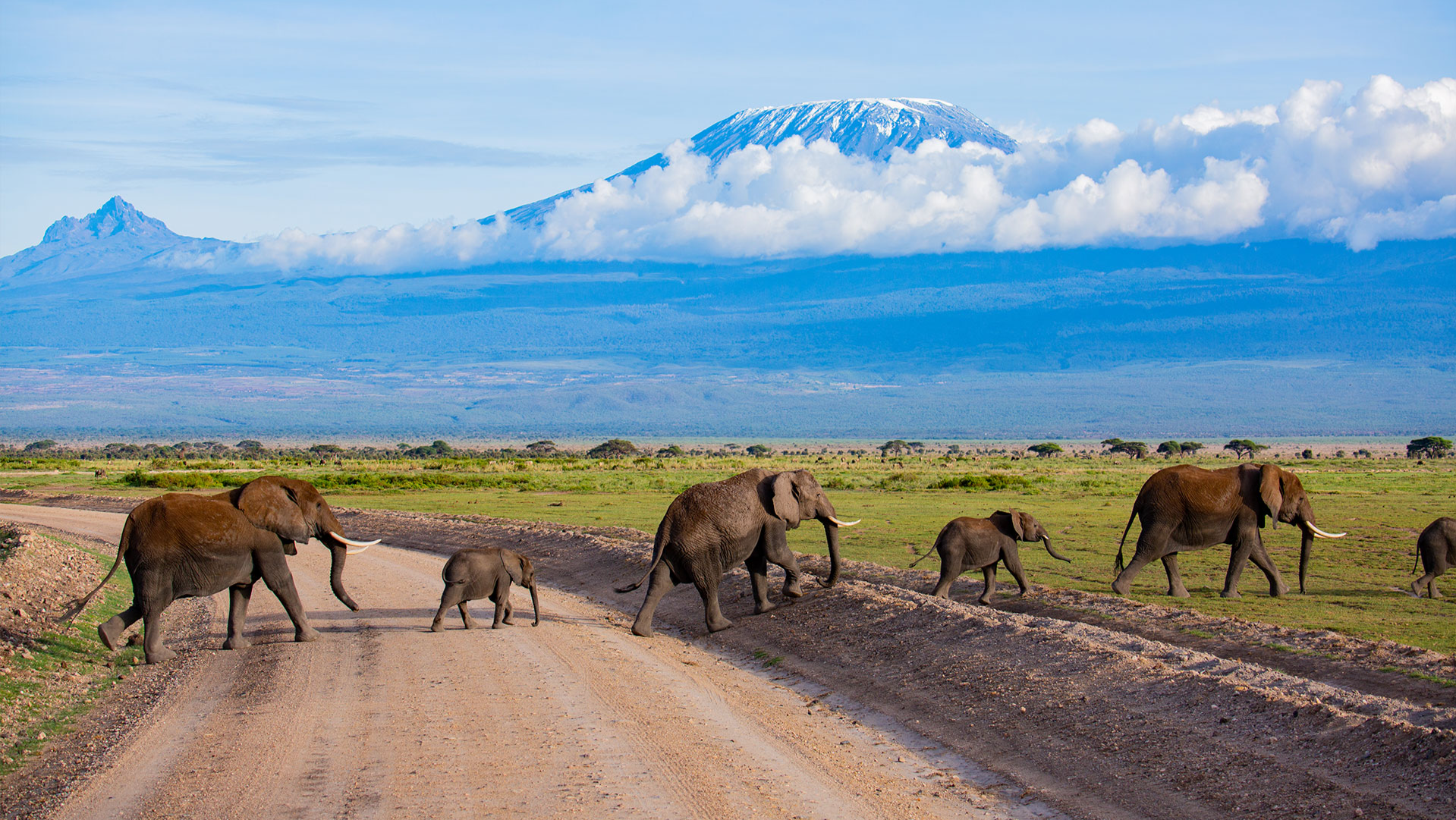 肯尼亚海滩·丛林·高尔夫冬季度假之旅