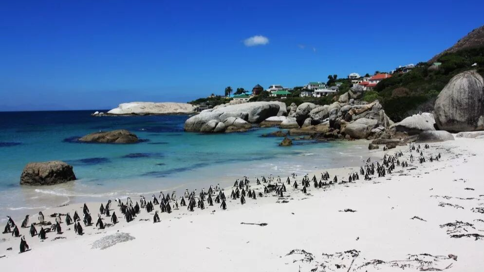 南非十佳高球场挥杆之旅