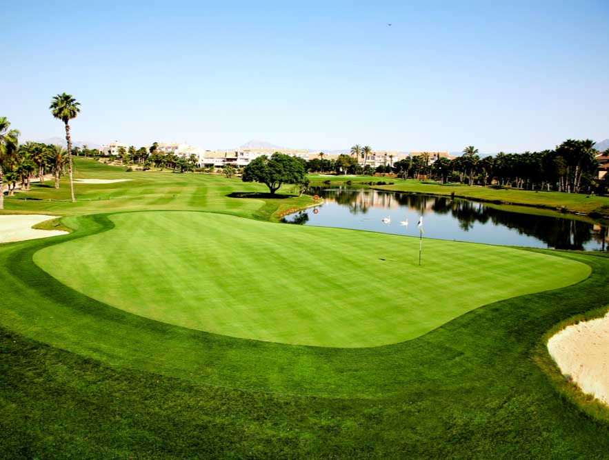 Tee Times高尔夫邮轮之旅