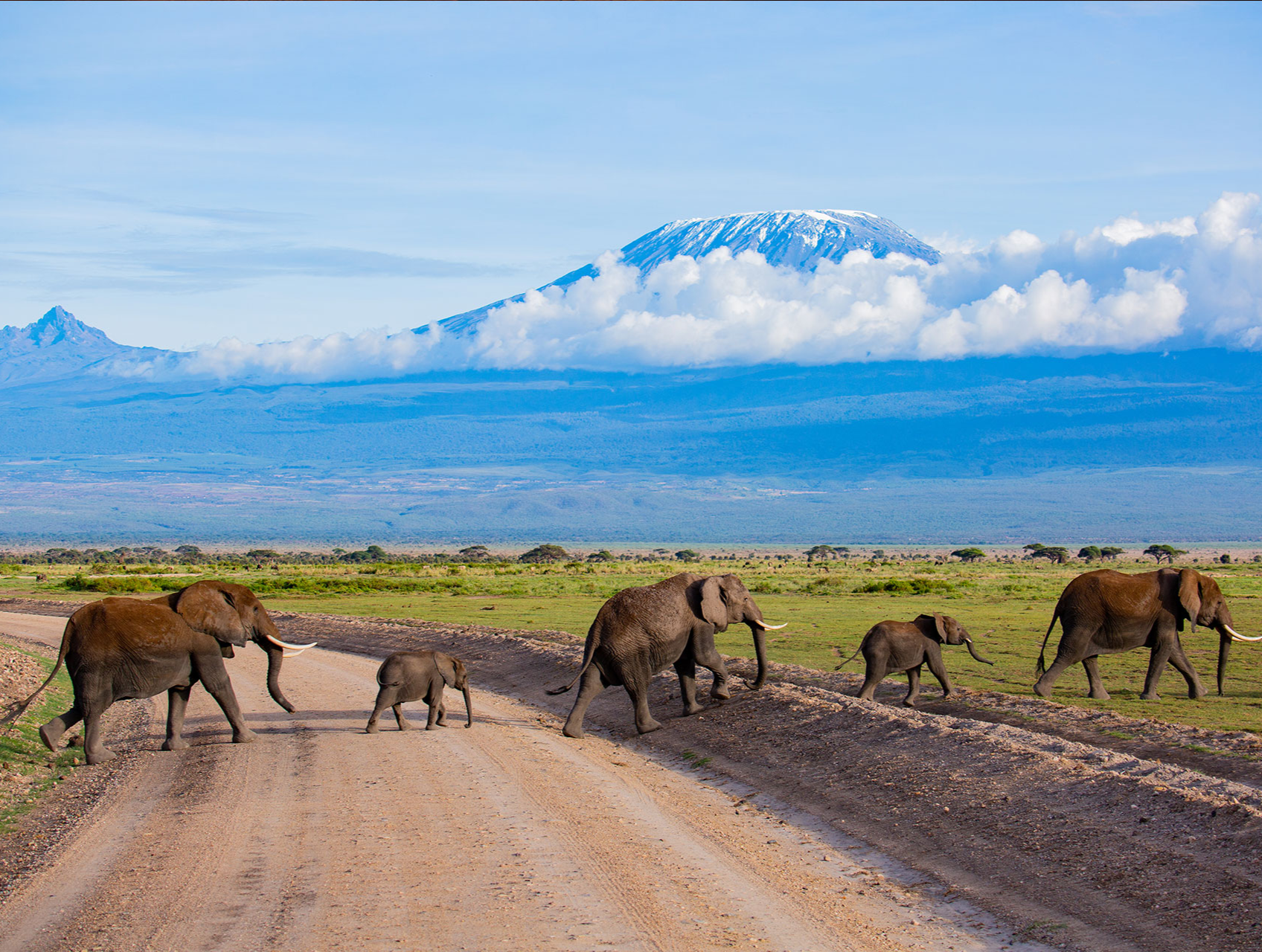 肯尼亚海滩·丛林·高尔夫冬季度假之旅