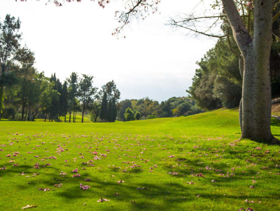 巴拿马圣玛丽亚酒店及高尔夫度假村之旅
