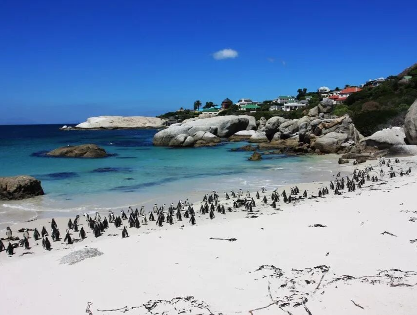 南非十佳高球场挥杆之旅